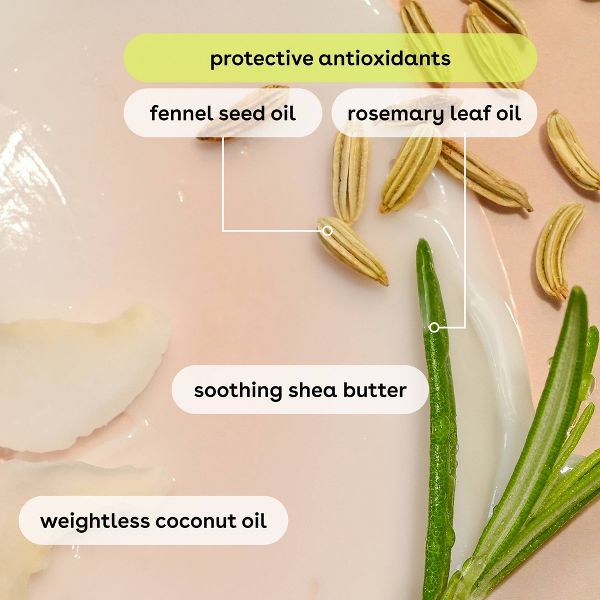 eos Limited Edition Lip Balm - Raspberry Rosé & Tangerine Spritz, 2 count