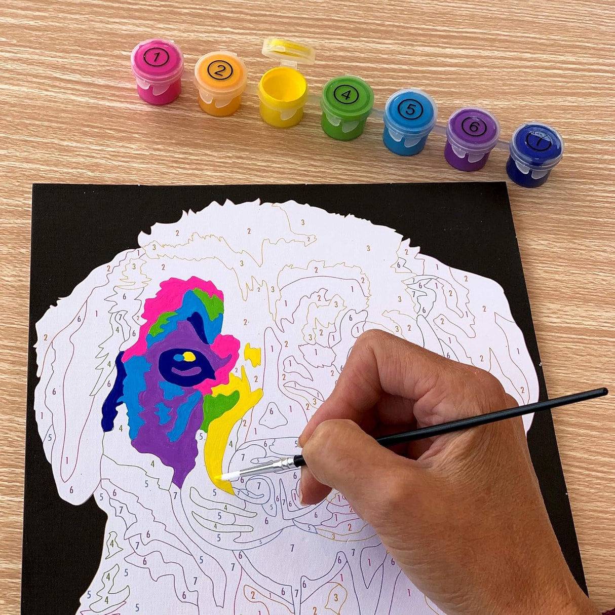 ArtSkills Paint by Number Kit - Puppy Dog, 8.5"x11"'-672125069622-LR-355426-6-LR eShop