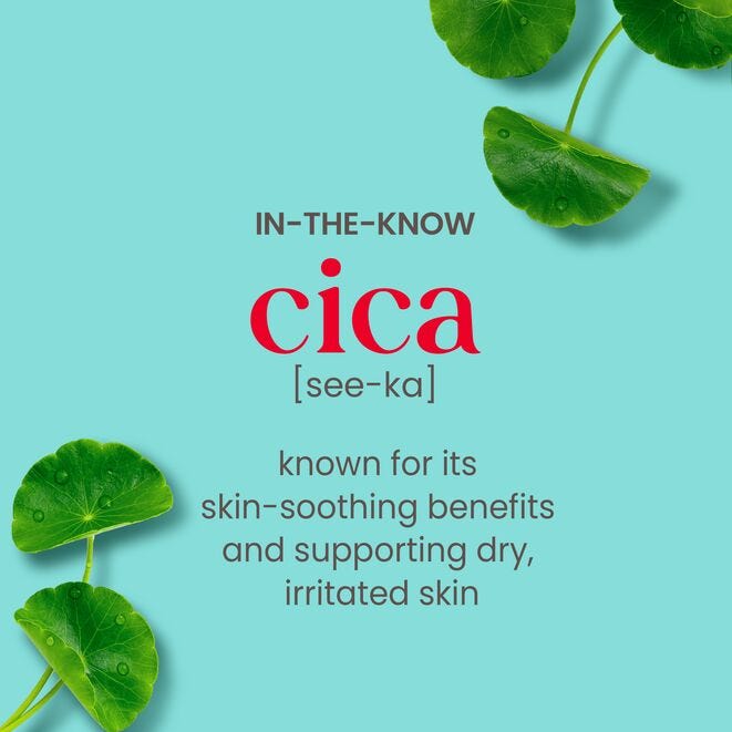 Burt's Bees Clear & Balanced Herbal Blemish Stick-792850887992-LR-202443-5-LR eShop