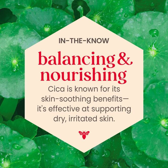 Burt's Bees Clear & Balanced Herbal Blemish Stick-792850887992-LR-202443-9-LR eShop