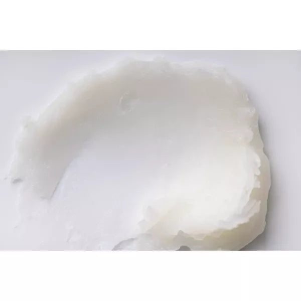 Burt's Bees Moisturizing Lip Balm - Pomegranate, Carded-792850164994-LR-255106-11-LR eShop