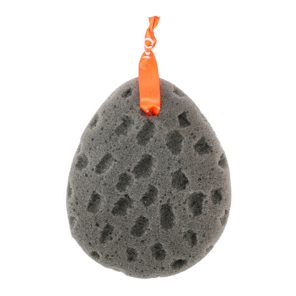 CLEANLOGIC Detoxify Foam Body Sponge-813606020729-LR-317587-2-LR eShop