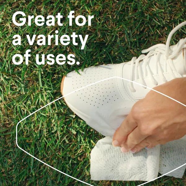 CLOROX Disinfecting To Go Travel Wipes - Citrus, 9 count-044600306667-LR-351300-7-LR eShop