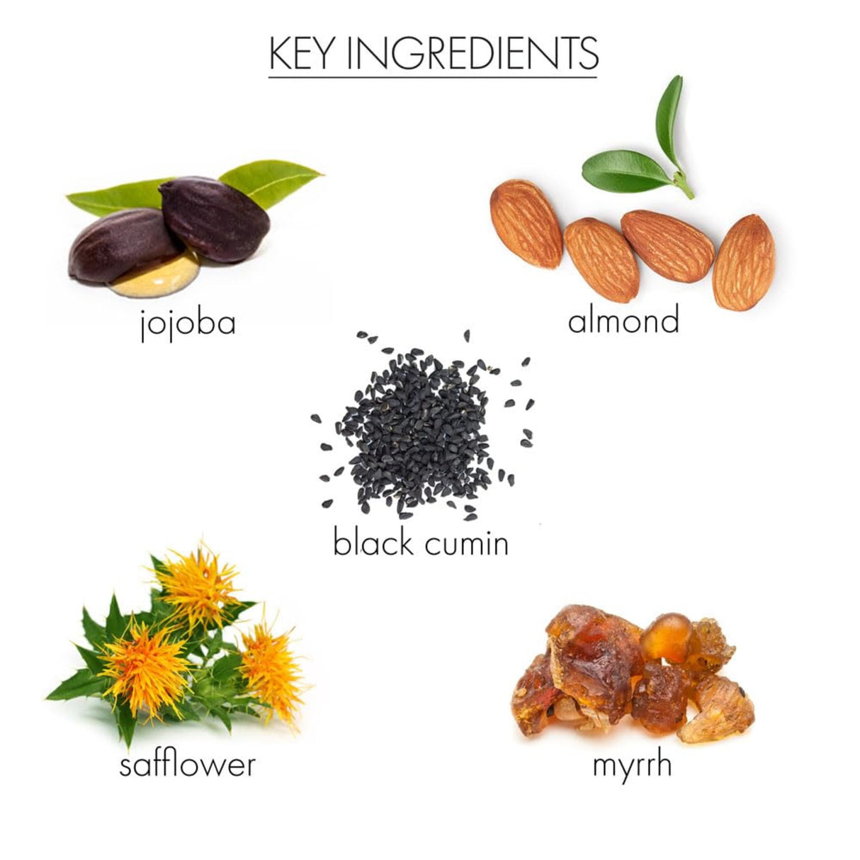 COCO MLK VERBENA CUTICLE OIL-812280017667-LR-351202-4-LR eShop