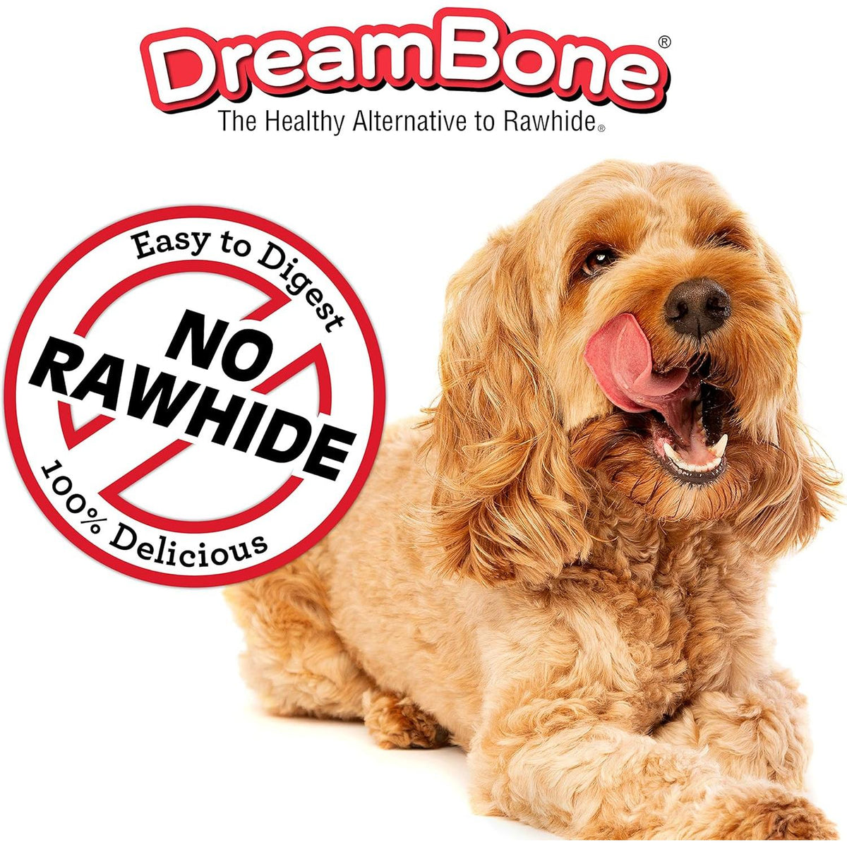 Dreambone Churro-Style Dog Sticks With Chicken, 14 count-892383006270-LR-342331-8-LR eShop