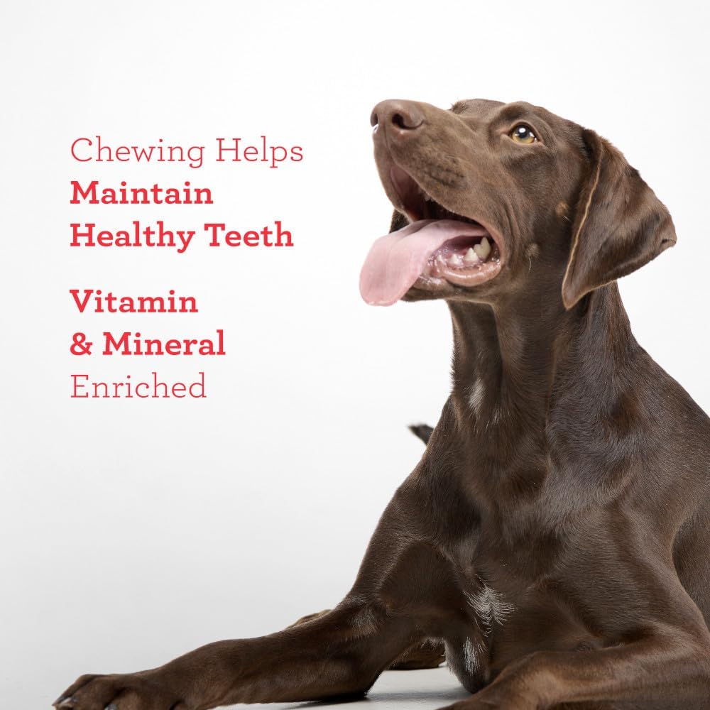 DreamBone Double Protein Chicken, Sirloin & Peanut Butter Dog Chews, 10 count-892383007819-LR-348547-6-LR eShop