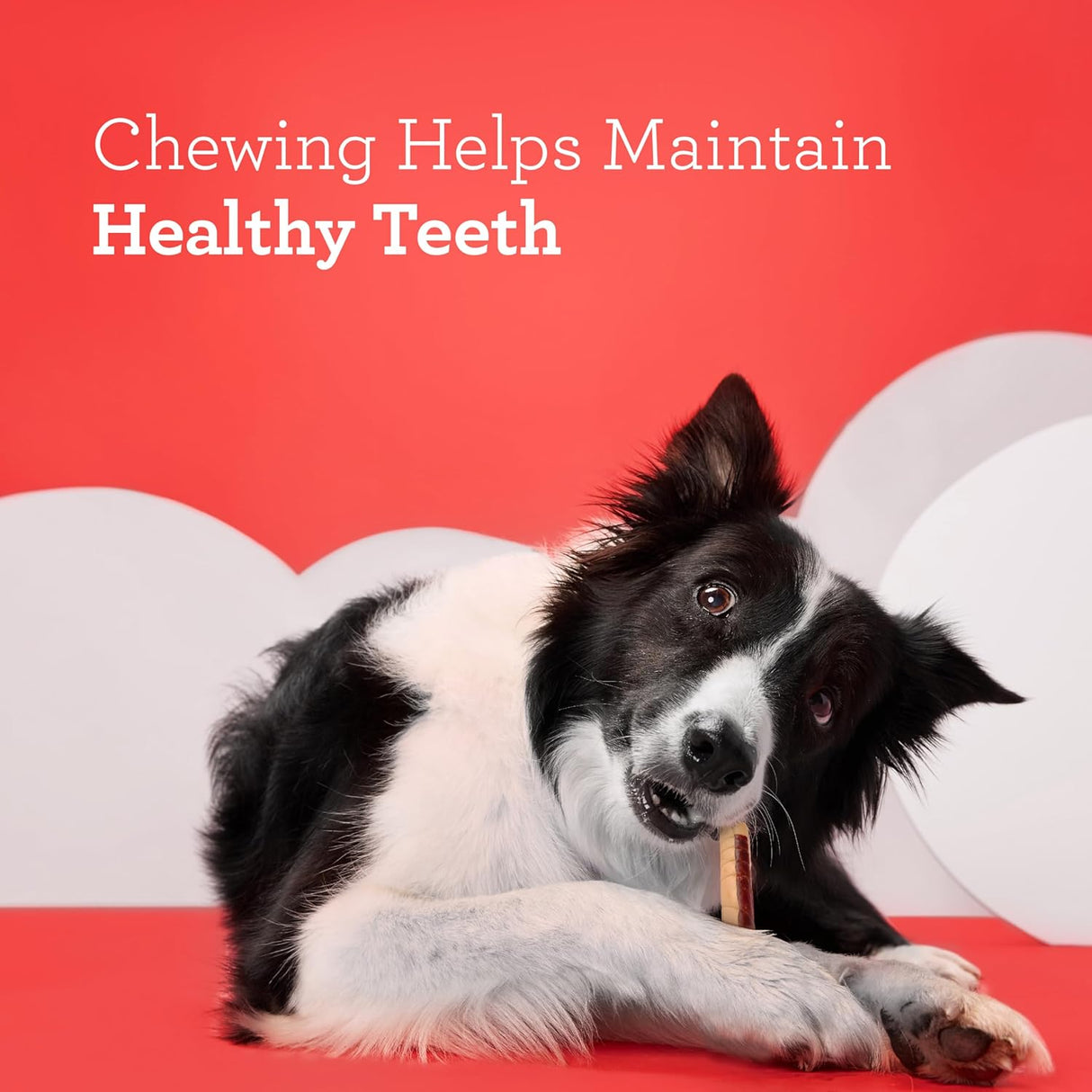 DreamBone DreamSticks Vegetables and Chicken Chews, 5 count-892383002593-LR-303200-6-LR eShop