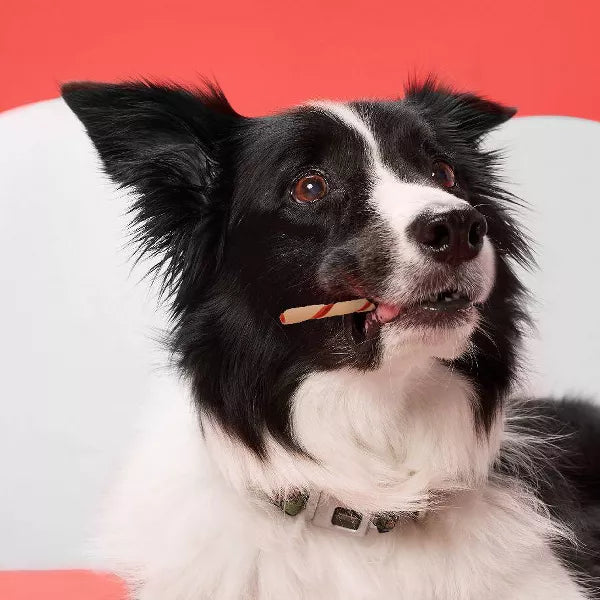 DreamBone Twist Sticks with Chicken Dog Treats, 50 pack-810833028443-LR-330425-7-LR eShop