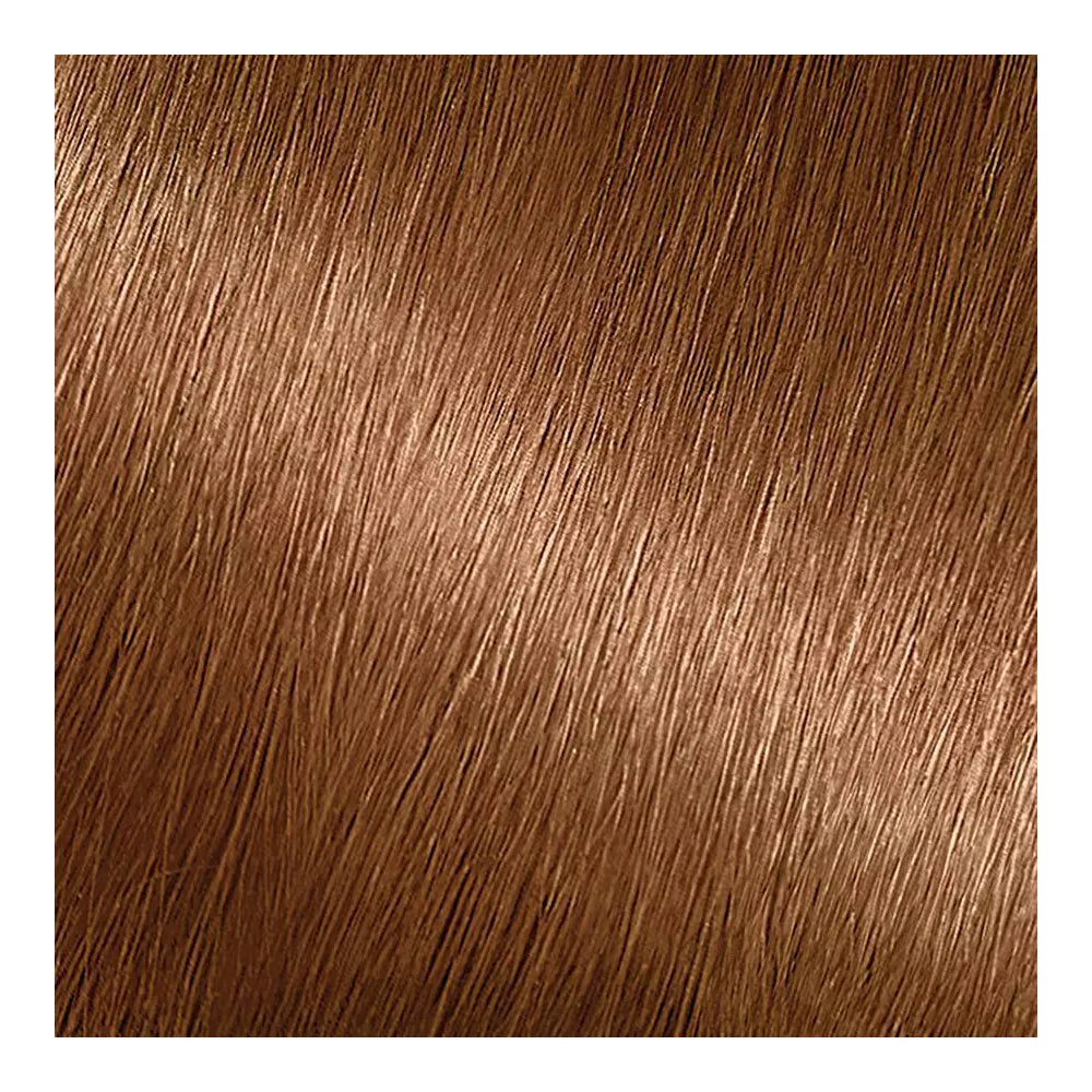 Garnier Nutrisse Ultra Creme Nourishing Permanent Hair Color - 63 Light Golden Brown-603084242641-LR-251542-2-LR eShop