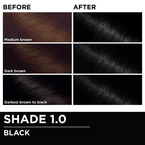 Garnier Olia Oil-Powered Permanent Hair Color - 1.0 Black-603084293902-LR-361795-6-LR eShop