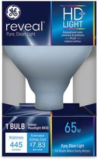GE Lighting 65W Reveal R30 Indoor Floodlight Incandescent Bulb-043168486927-LR-222971-1-LR eShop