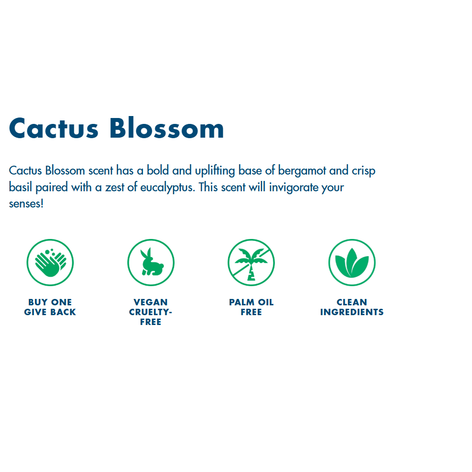 HAND IN HAND Liquid Hand Soap - Cactus Blossom, 10 oz-858958006809-LR-358247-2-LR eShop