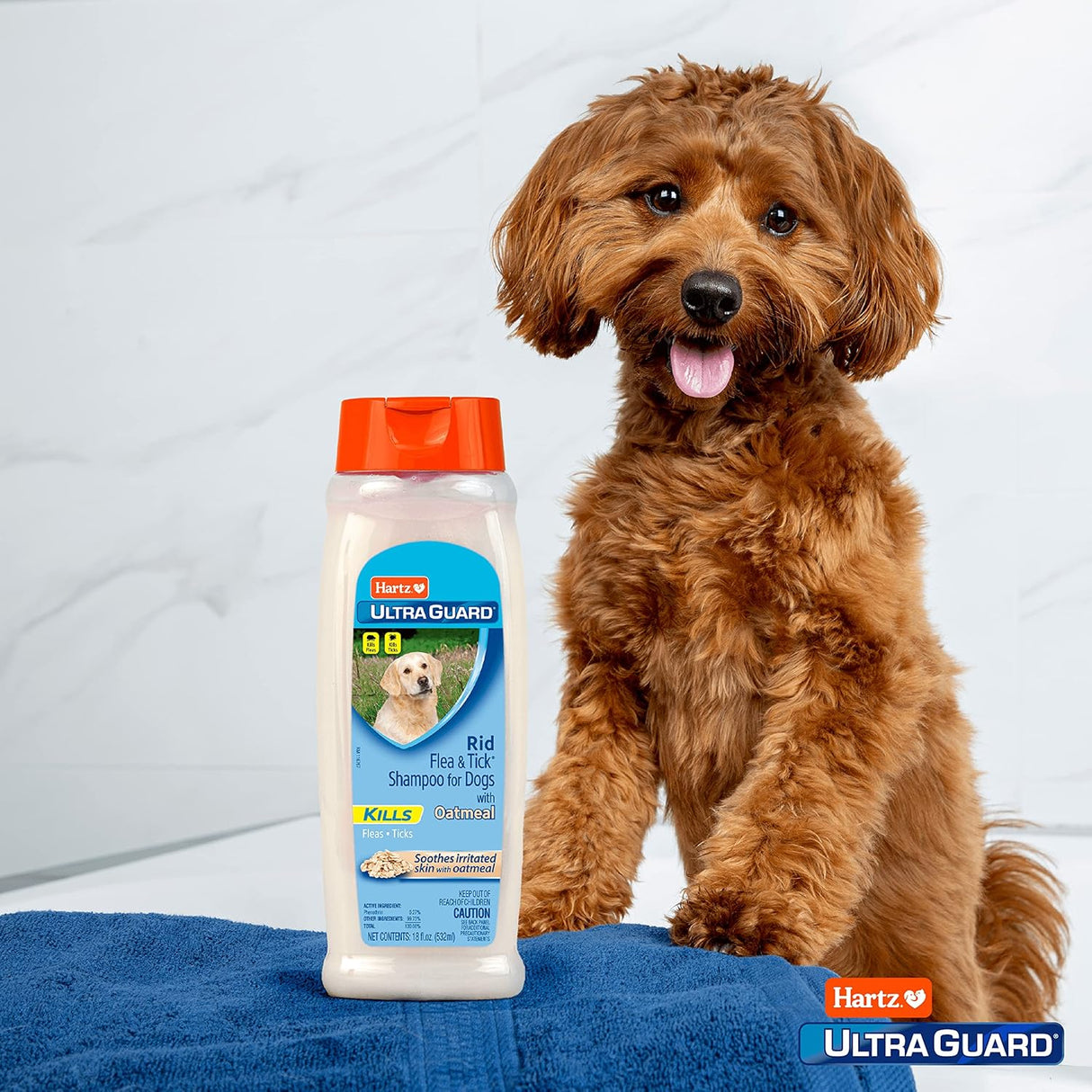 Hartz UltraGuard Rid Flea & Tick Oatmeal Dog Shampoo-032700023058-LR-218664-4-LR eShop