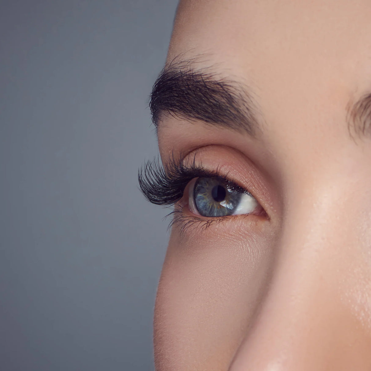 KISS FALSCARA Special All Inclusive Lash Starter Kit - 36 Lengthening Wisps-731509944563-LR-356501-5-LR eShop