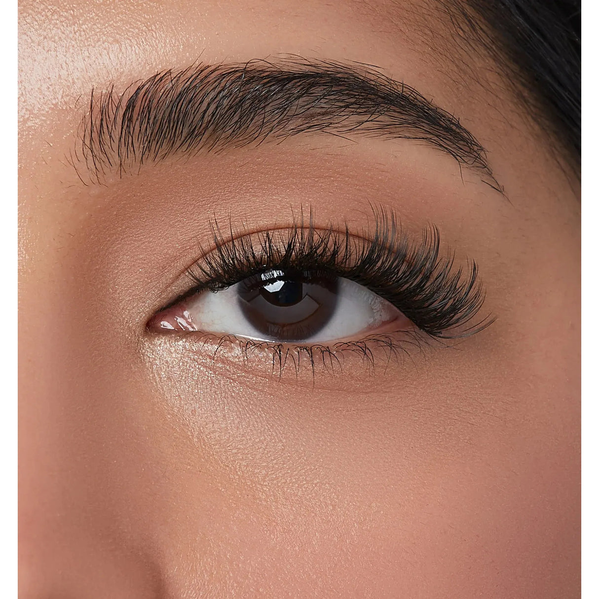 KISS imPRESS Falsies Individual Lashes With Mini Applicator - Lavish Volume, 12 count-731509913156-LR-352007-5-LR eShop