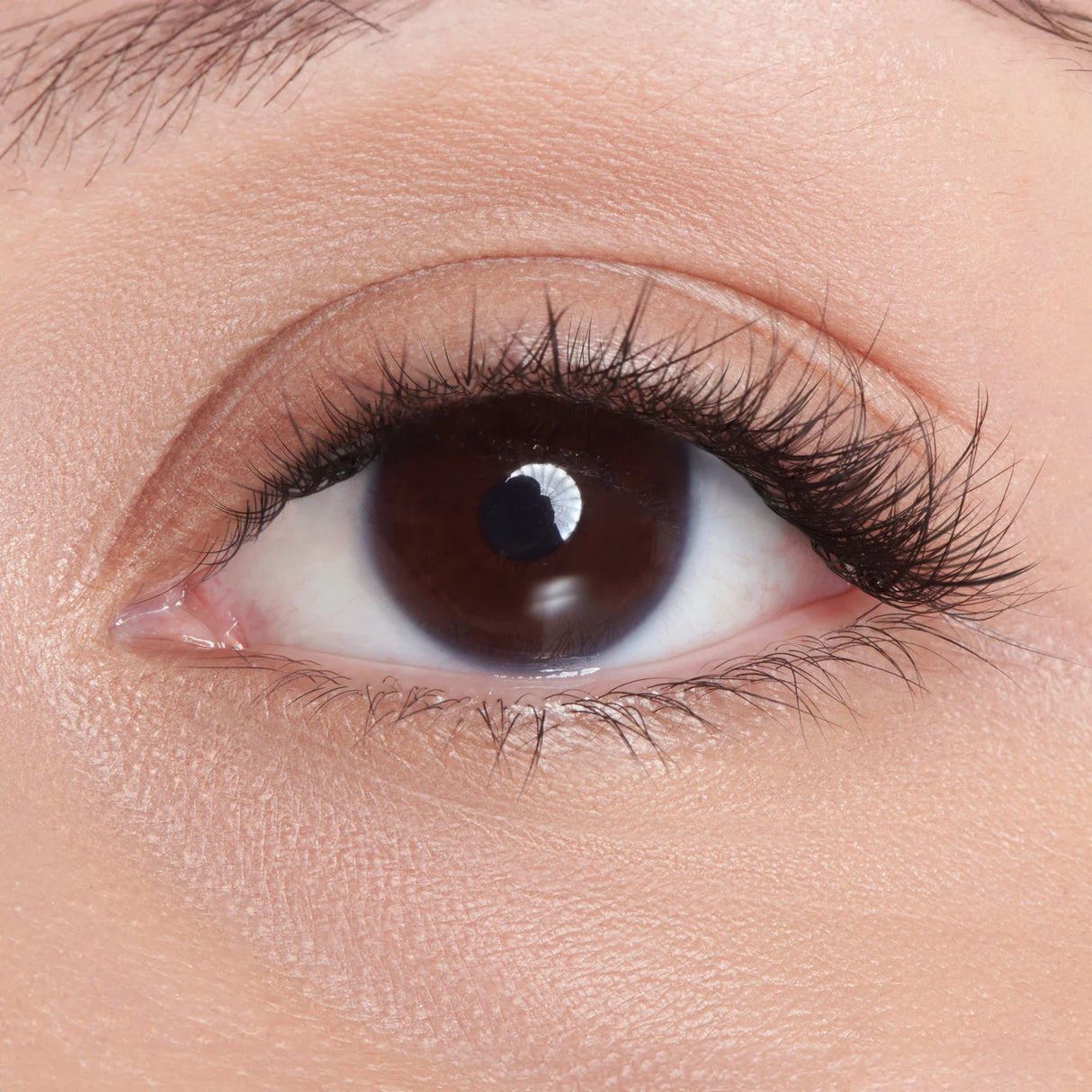 KISS imPRESS Falsies Long Lasting Self Adhesive Lashes - Demi Edgy-731509947571-LR-356506-6-LR eShop