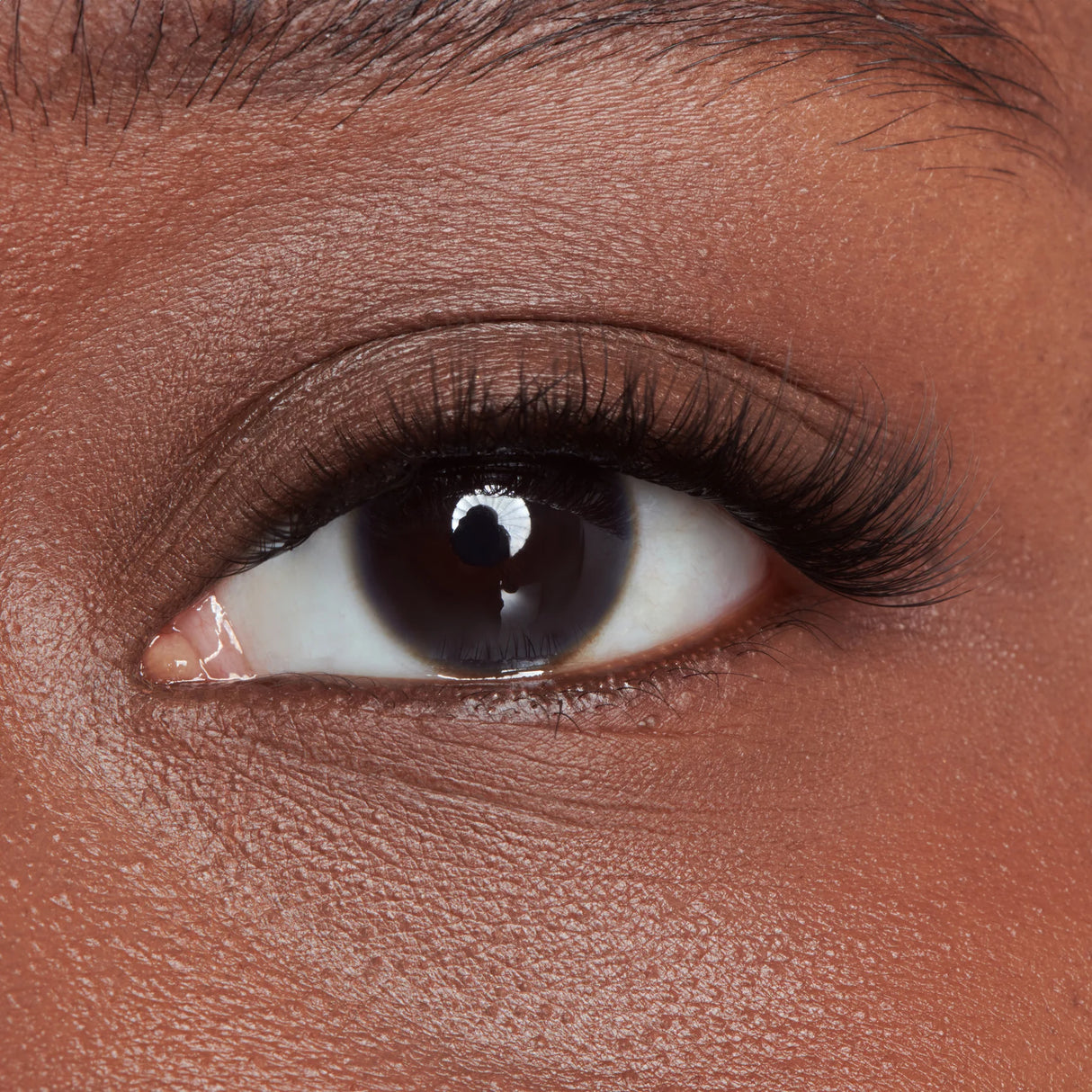 KISS ImPRESS Falsies Long Lasting Self Adhesive Lashes - Demi Wispy-731509947564-LR-356505-6-LR eShop