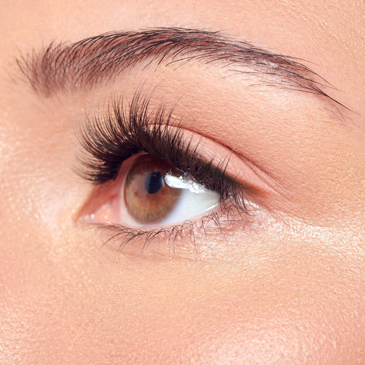 KISS imPress Press On False Lash Kit - Classic Wispy, 36 clusters-731509234411-LR-360018-5-LR eShop