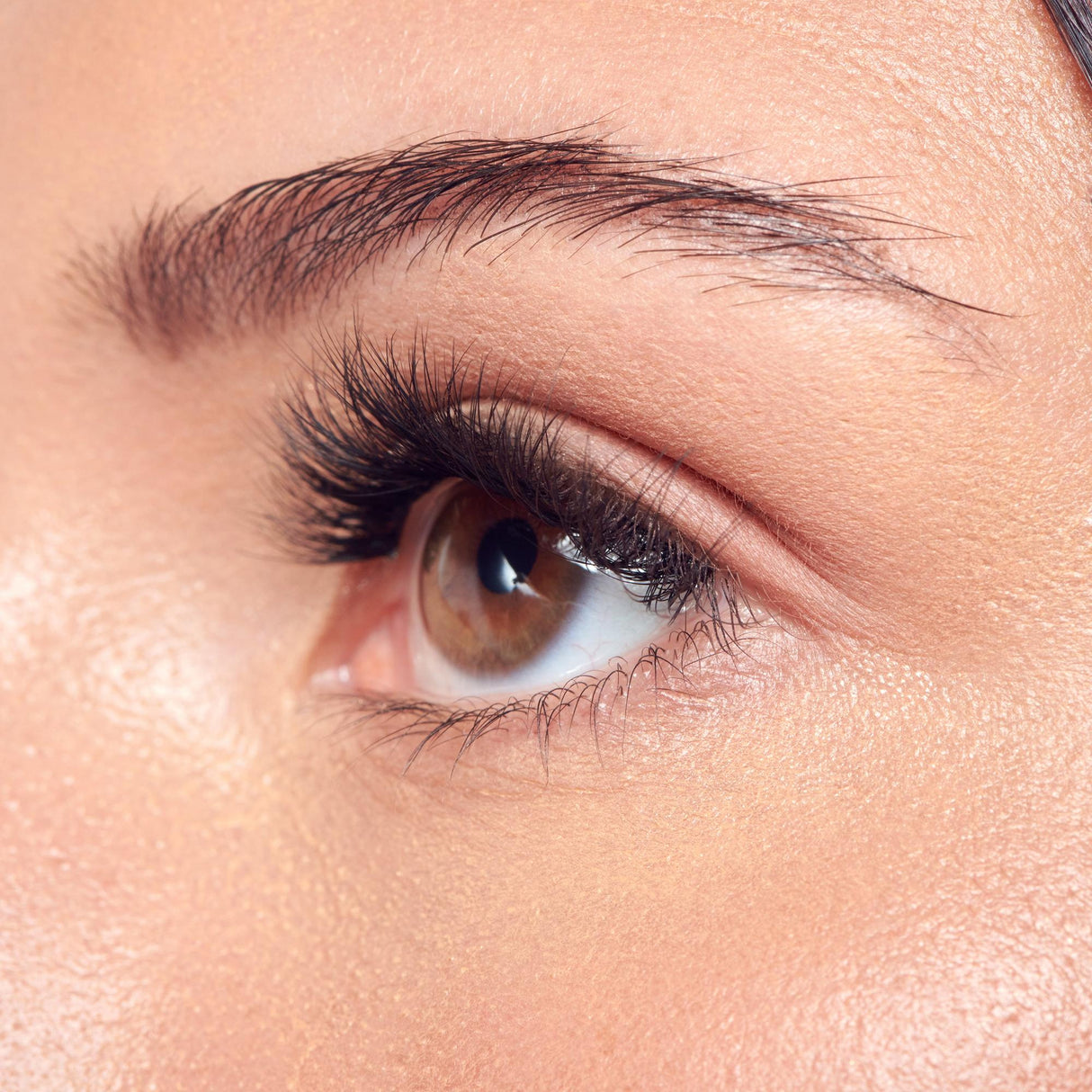 KISS imPress Press On False Lash Kit - Faux Mink Volume, 36 clusters-731509234428-LR-360019-5-LR eShop