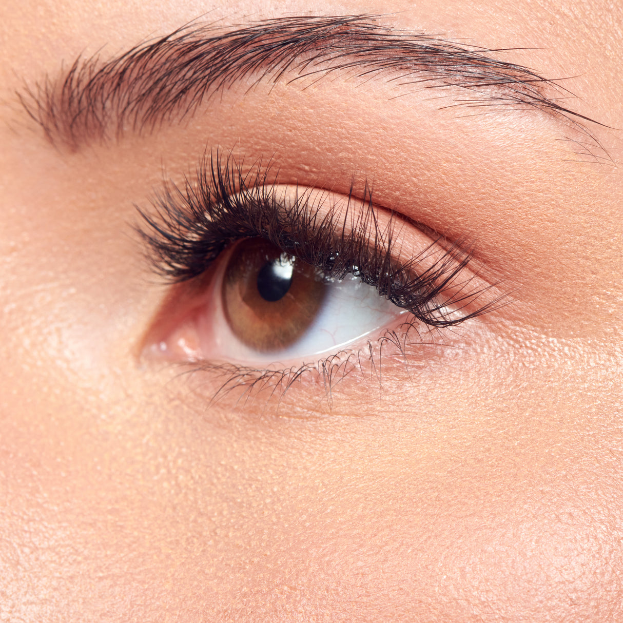 KISS imPRESS The No Glue Falsies Individual Lash Multipack - Classic Volume, 60 count-731509223699-LR-359949-4-LR eShop