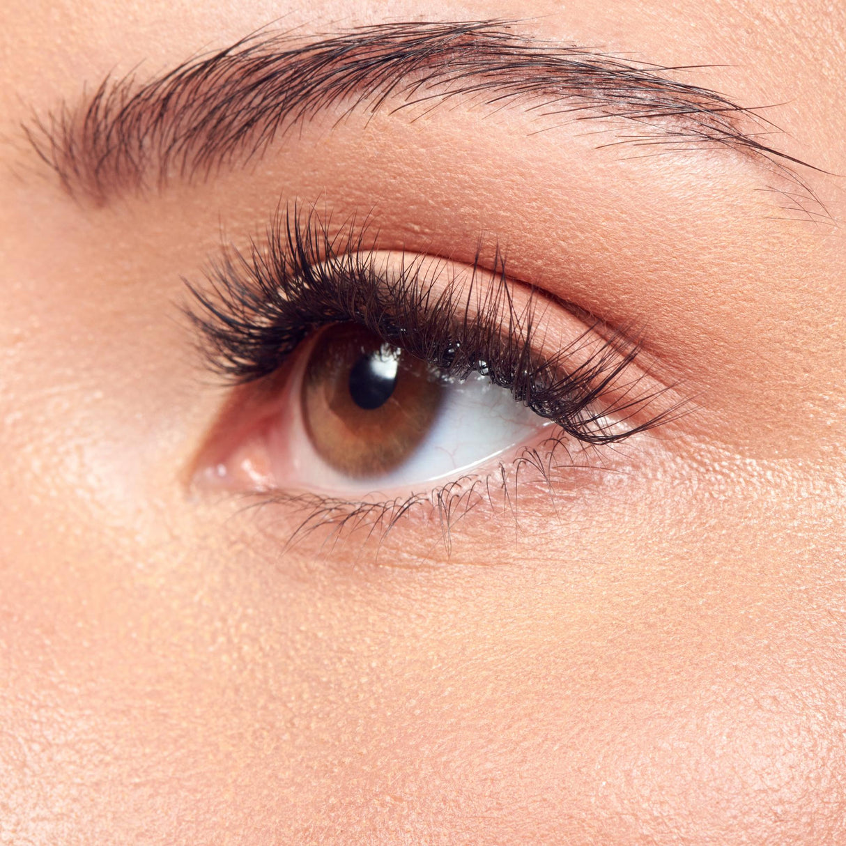 KISS imPRESS The No Glue Falsies Individual Lash Multipack - Classic Volume, 60 count-731509223699-LR-359949-4-LR eShop
