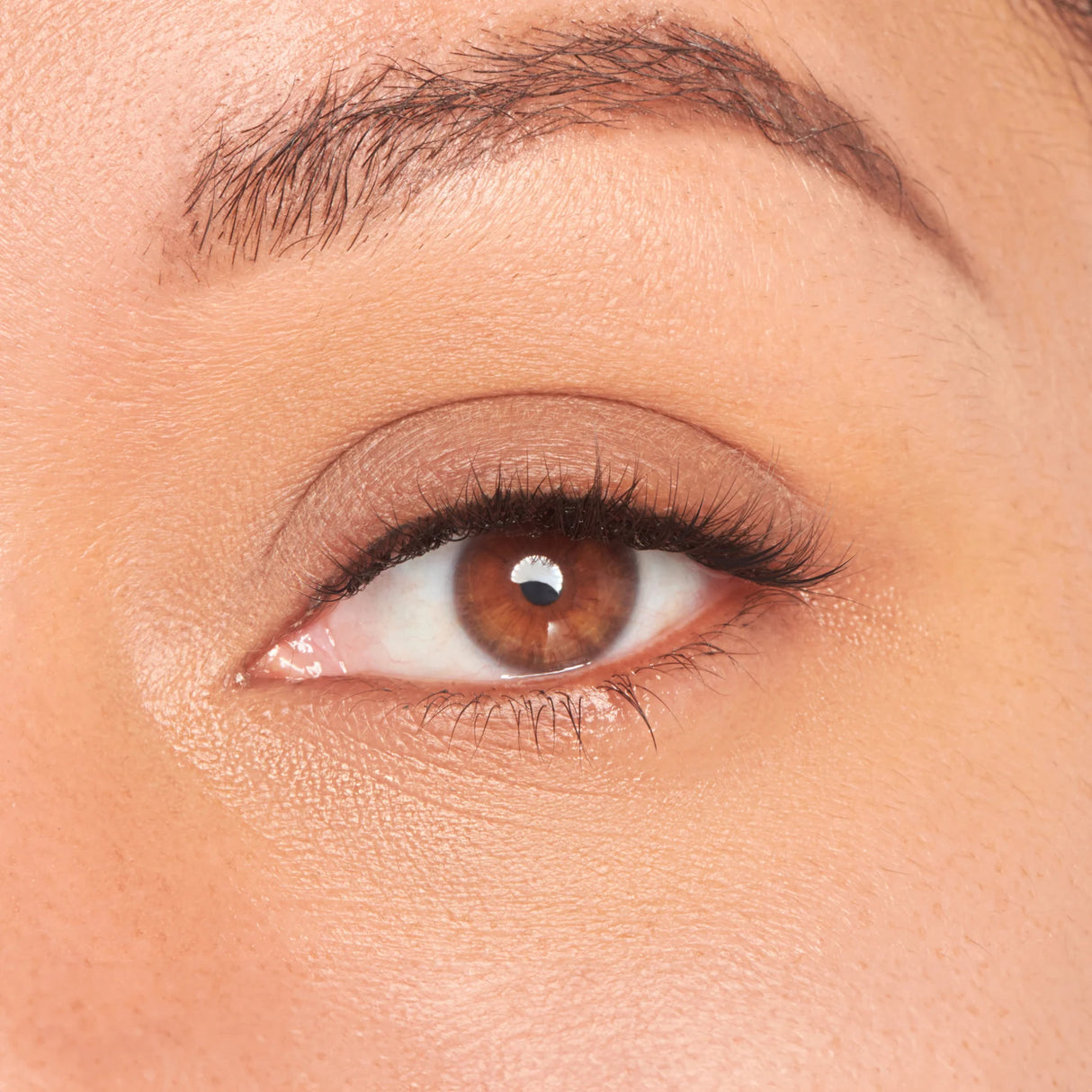 KISS Lash Atelier Individual Lash Extensions Design Kit - Natural-731509952483-LR-356520-3-LR eShop