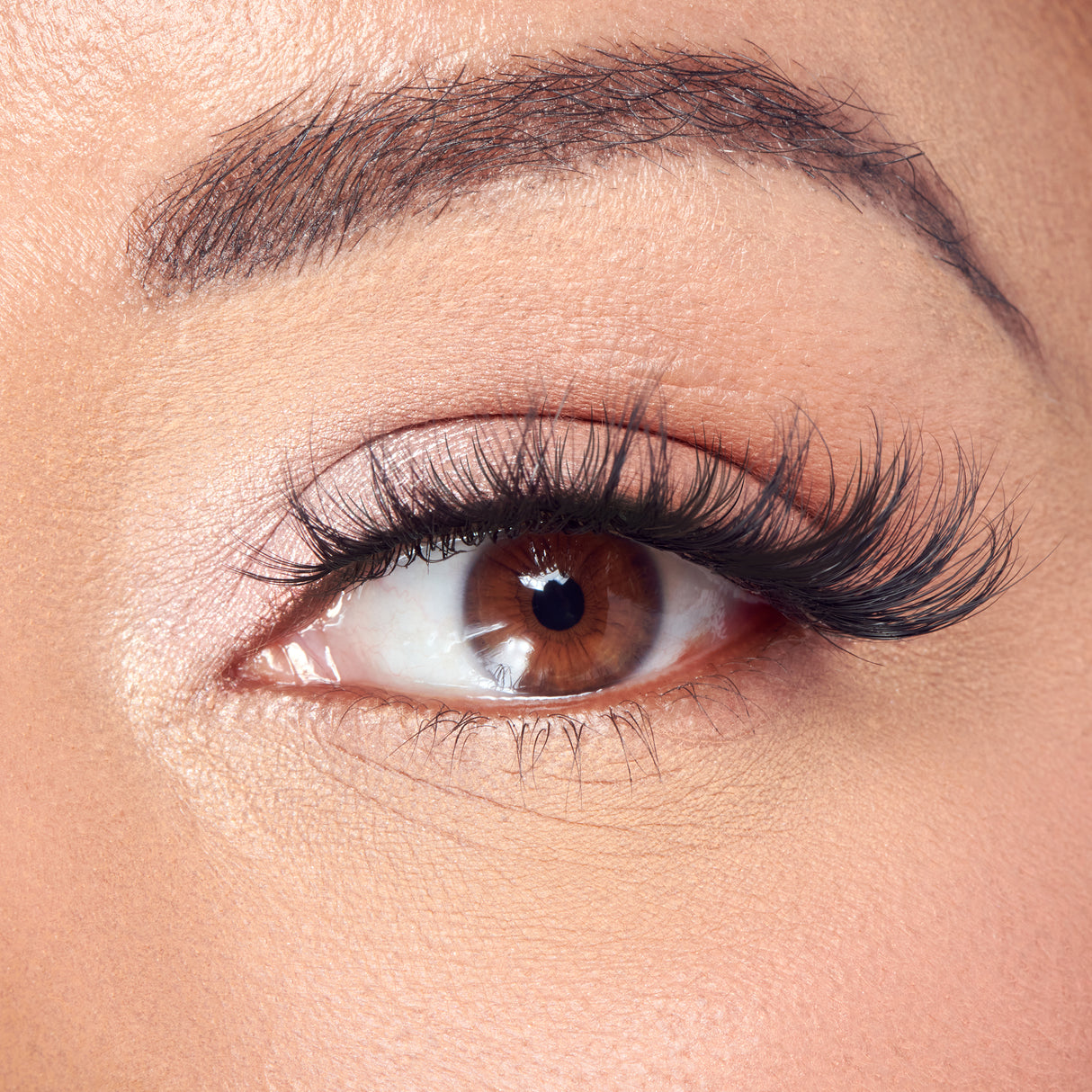 KISS Lash Couture Masterpiece Faux Mink Lashes - Reve, 3 pairs-731509223903-LR-359953-5-LR eShop