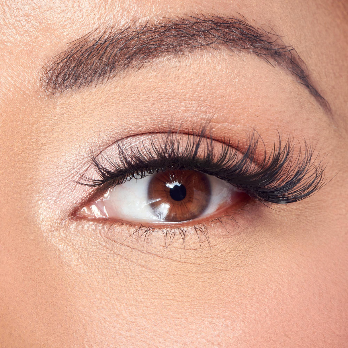KISS Lash Couture Masterpiece Faux Mink Lashes - Reve, 3 pairs-731509223903-LR-359953-5-LR eShop