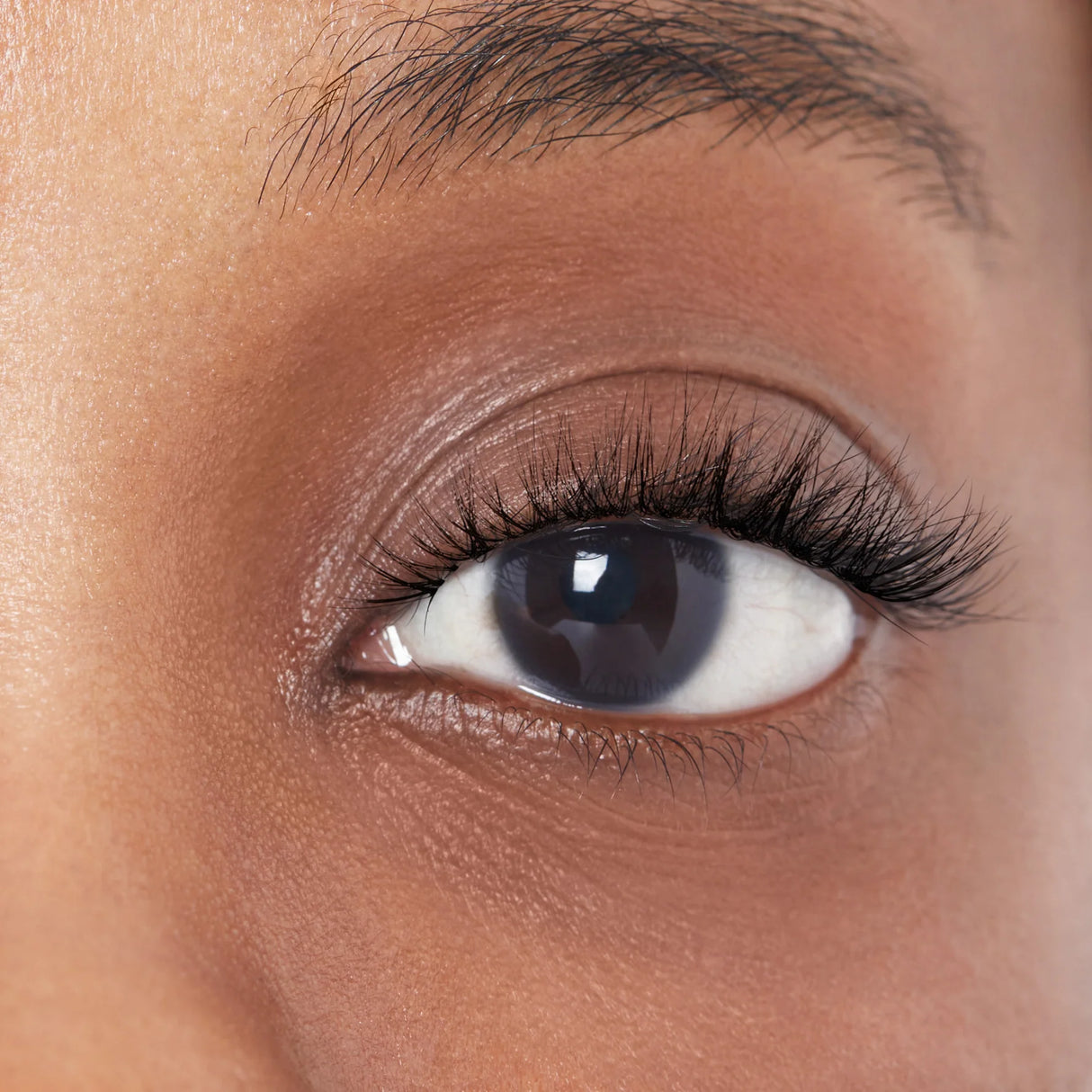 KISS My Lash but Better 4-Pair Multipack - Bare Affair-731509881806-LR-357293-3-LR eShop