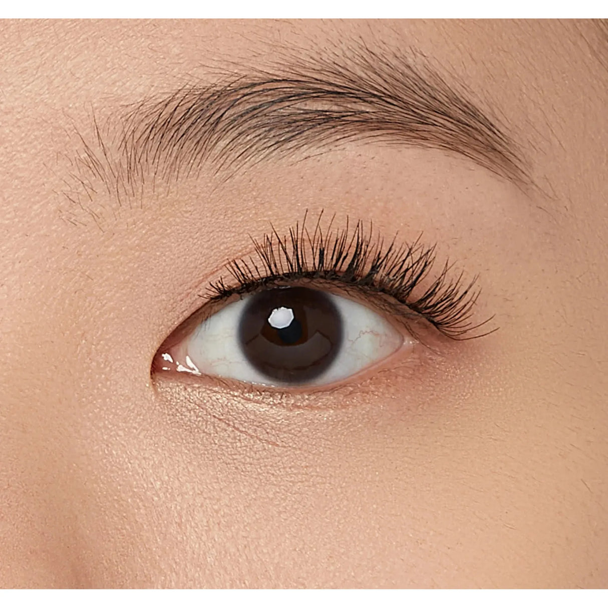 KISS My Lash But Better Everyday Lash - So Real, 4 count-731509881783-LR-346863-4-LR eShop