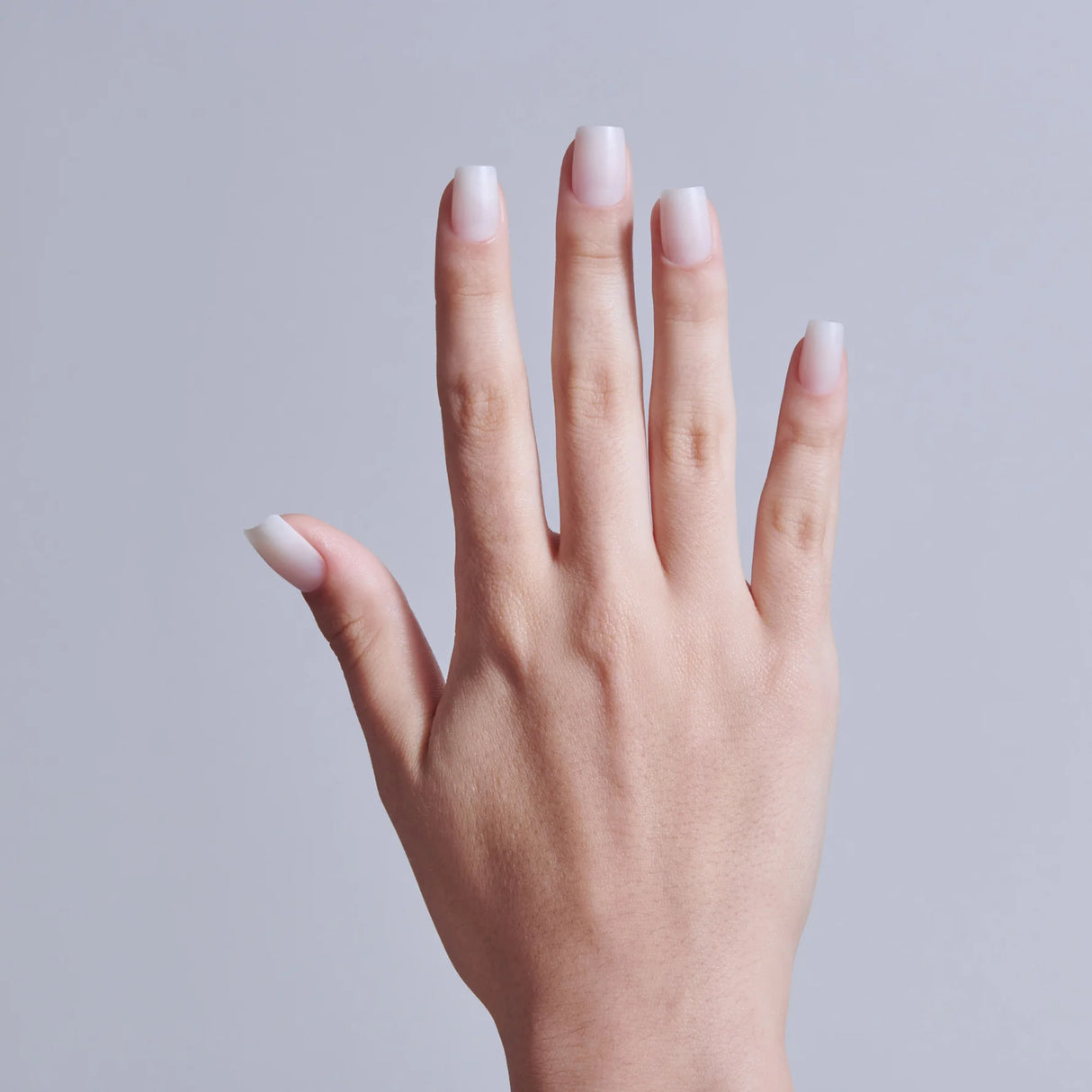 KISS Natural Professional Coverage Premium Faux Nails - Ordinary Life, 140 count-731509226713-LR-359998-6-LR eShop