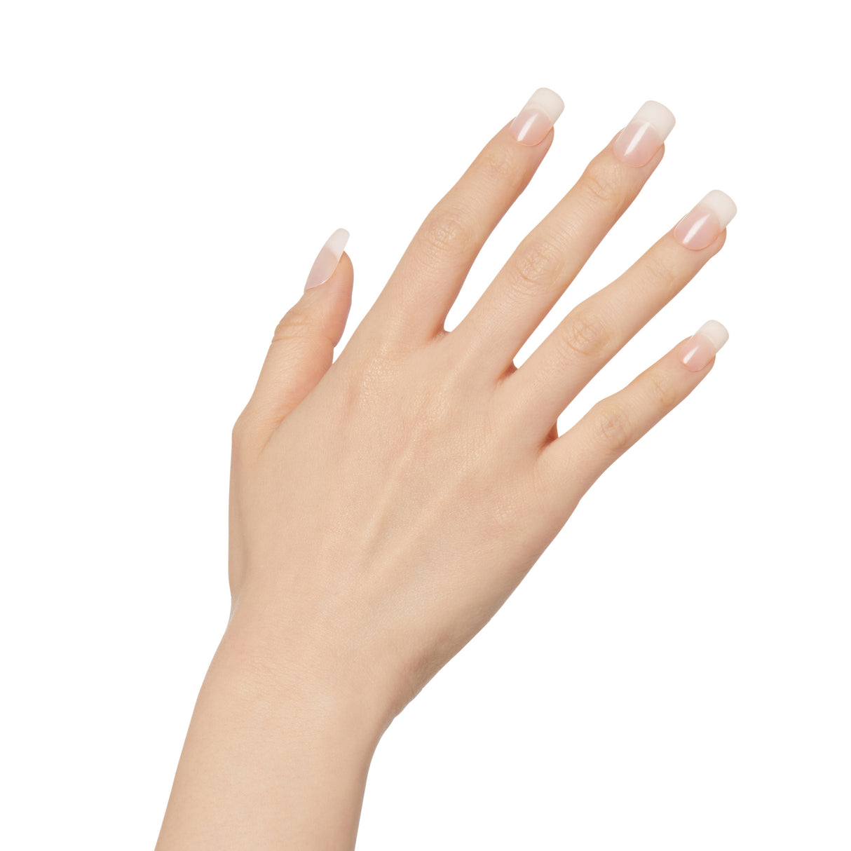 KISS Salon Acrylic French Nude Nails, Medium KAN03-731509642681-LR-293975-5-LR eShop