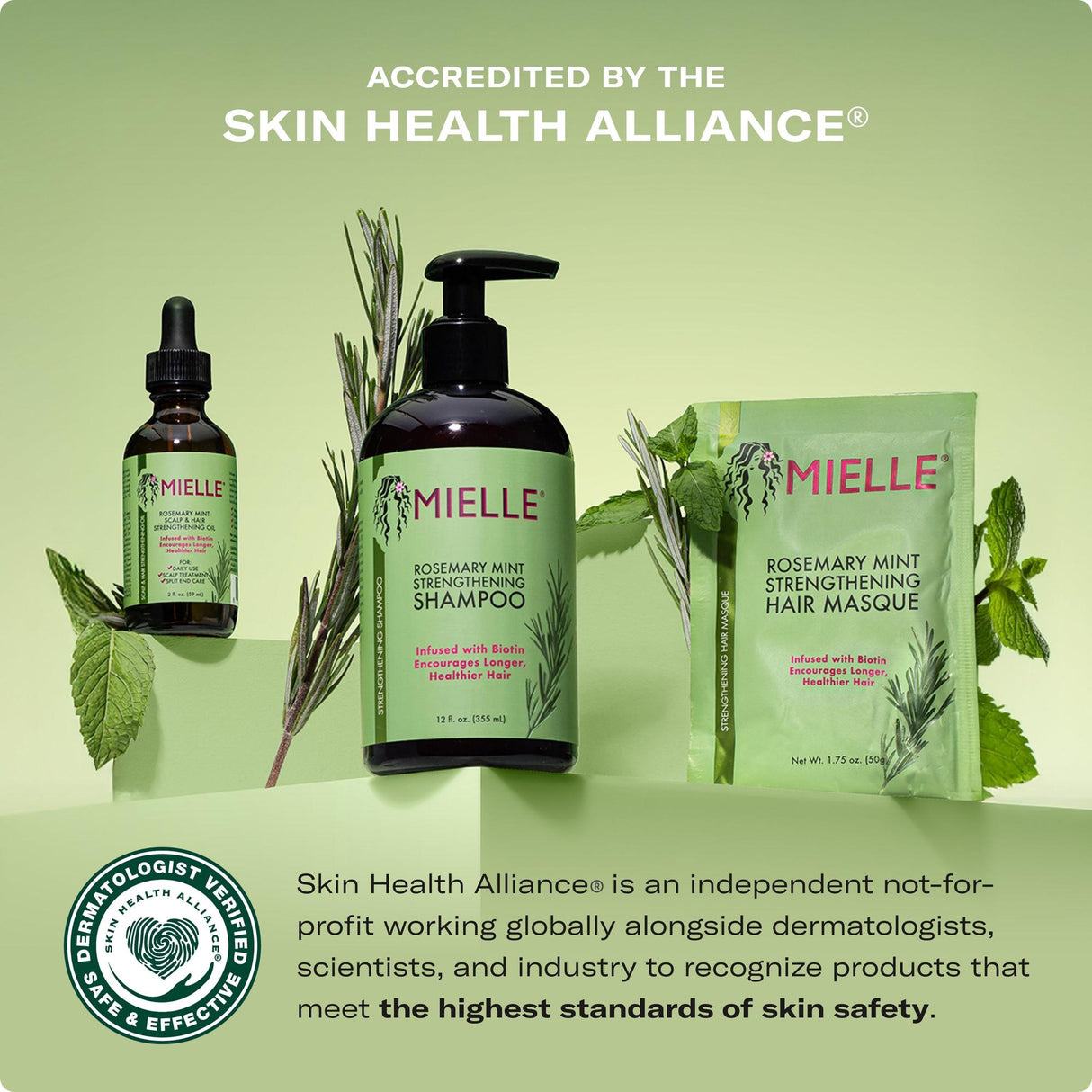 MIELLE Rosemary Mint Strengthening Shampoo, 12 oz-854102006770-LR-355186-2-LR eShop