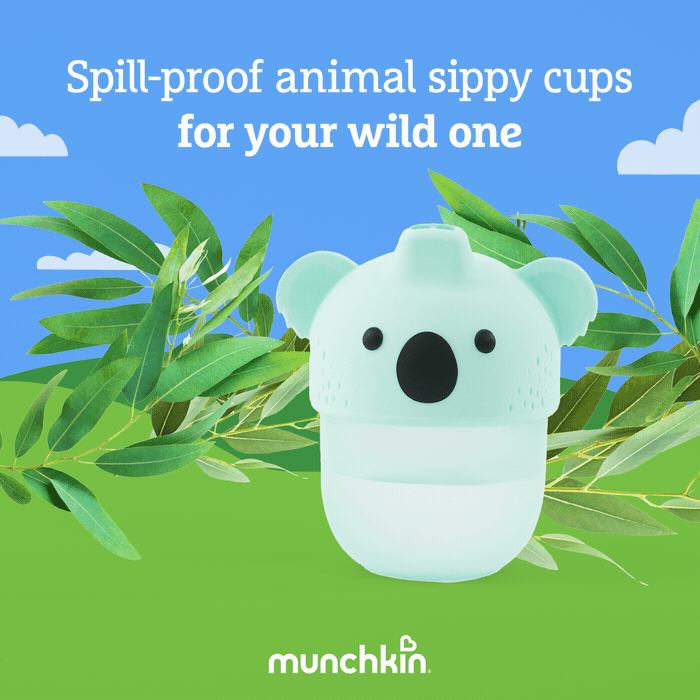Munchkin Koala Soft-Touch Spill-Proof Sippy Cup, 8oz-735282380488-LR-355953-2-LR eShop
