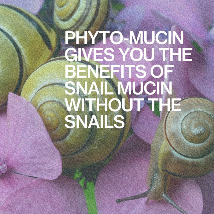 Pacifica Hydrodew Slime Barrier Care Gel-687735306968-LR-358809-4-LR eShop