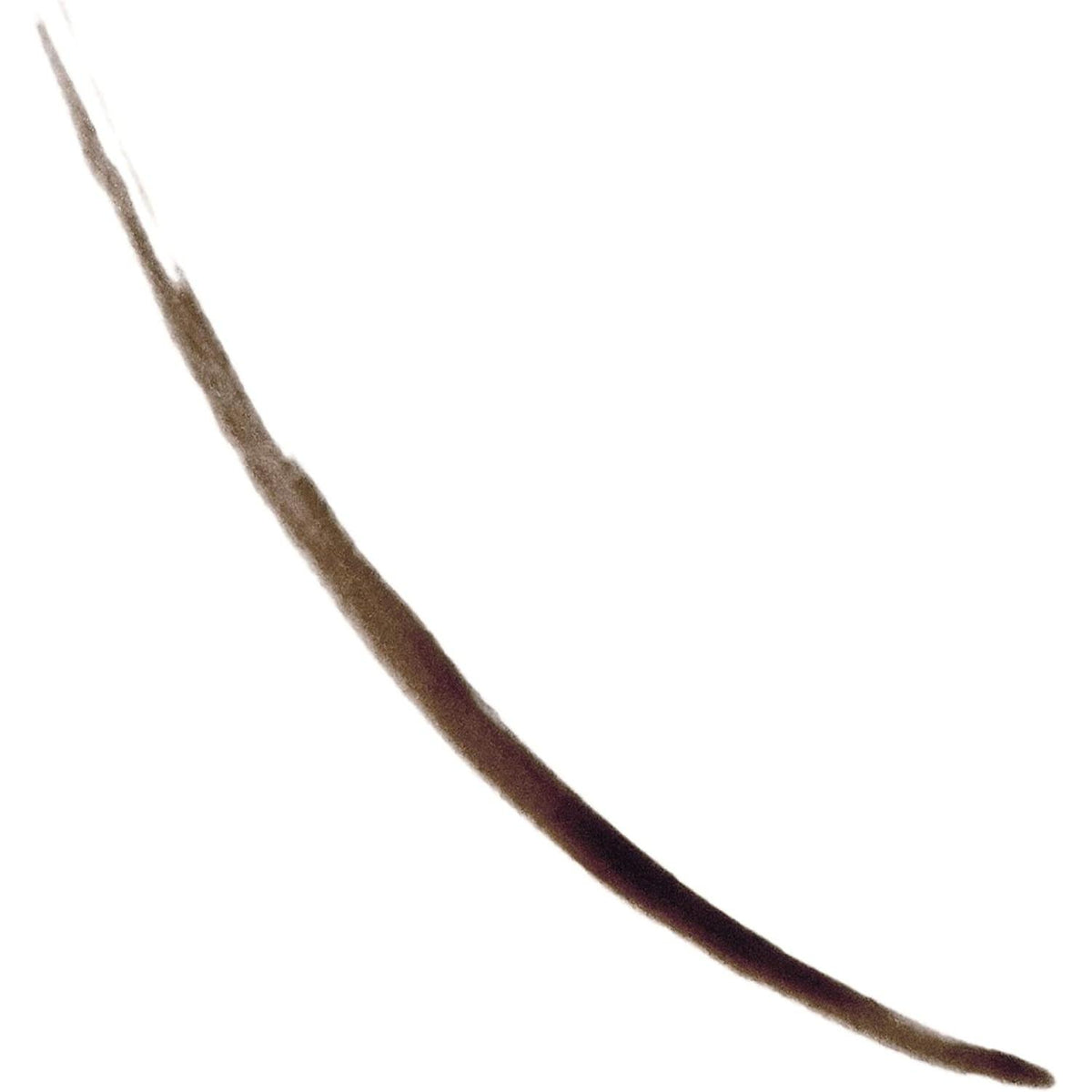 REVLON ColorStay Semi-Permanent Brow Ink - 355 Dark Brown Ink-309970174835-LR-343086-2-LR eShop