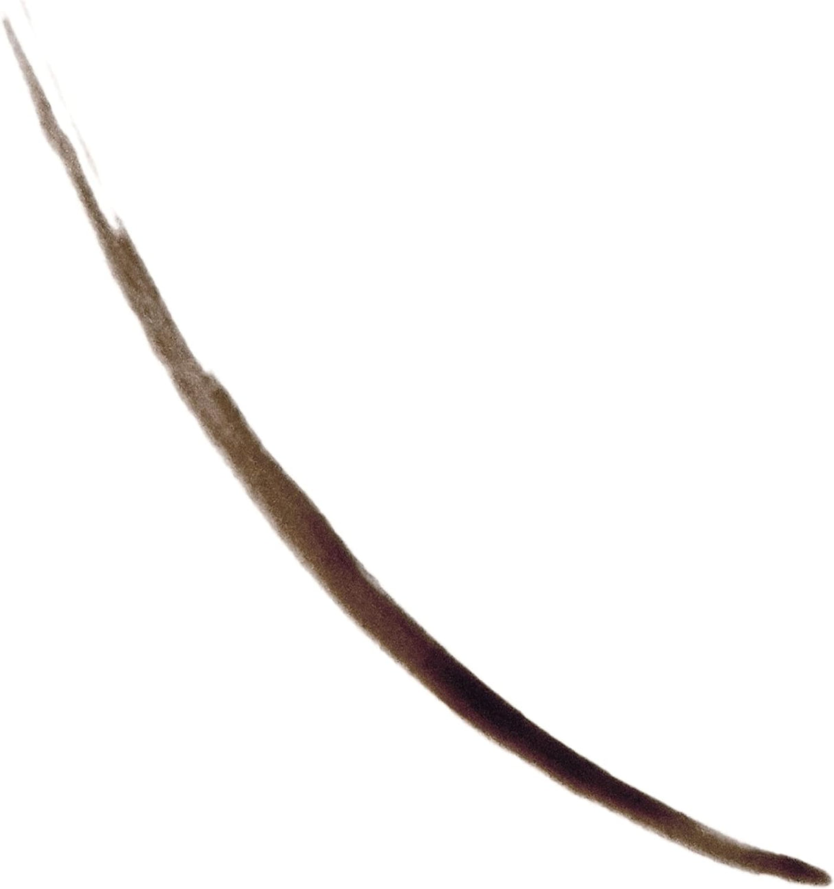 REVLON ColorStay Semi-Permanent Brow Ink - 355 Dark Brown Ink-309970174835-LR-343086-2-LR eShop