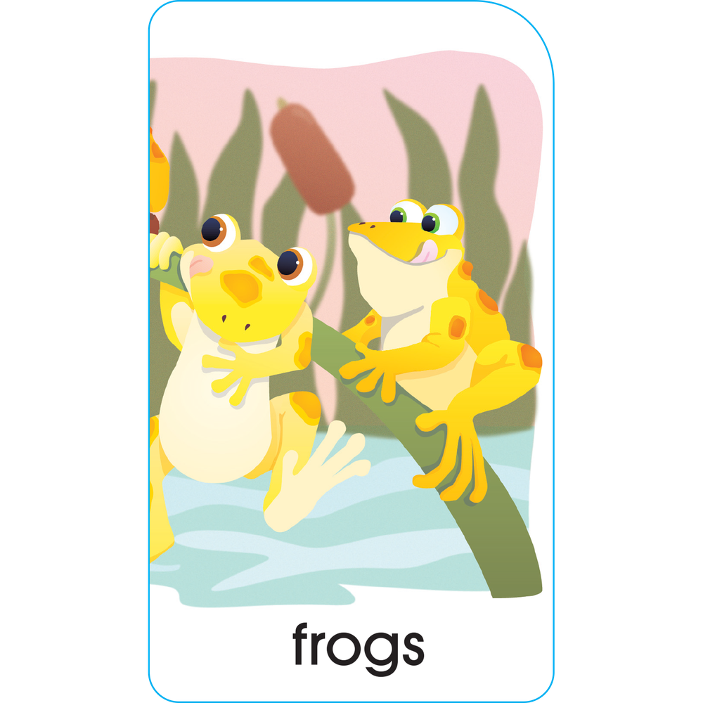 School Zone Numbers, Colors & Shapes Puzzle Cards-076645050281-LR-142354-2-LR eShop