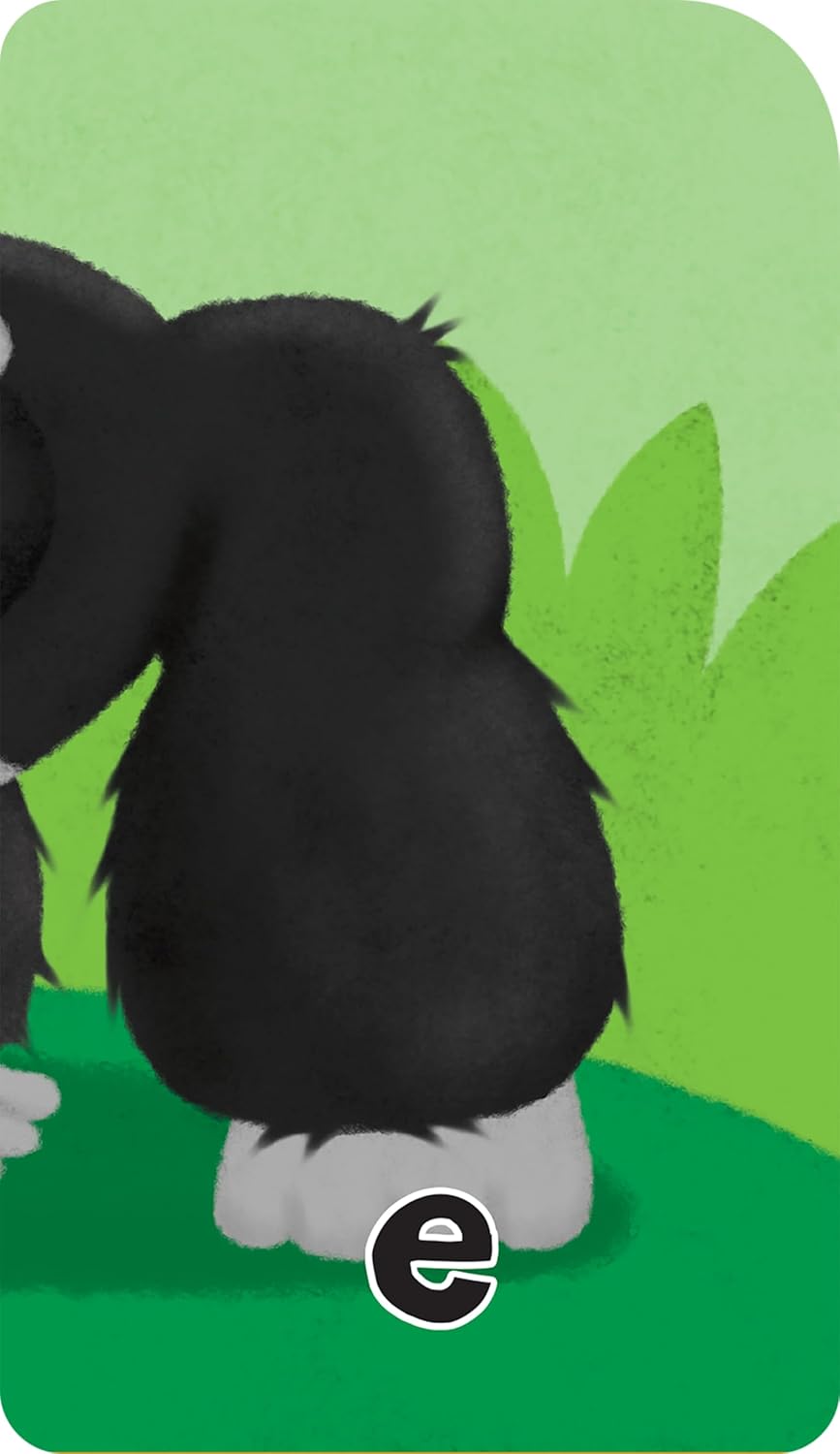 School Zone Three Letter Words Puzzle Cards-076645050274-LR-142307-6-LR eShop