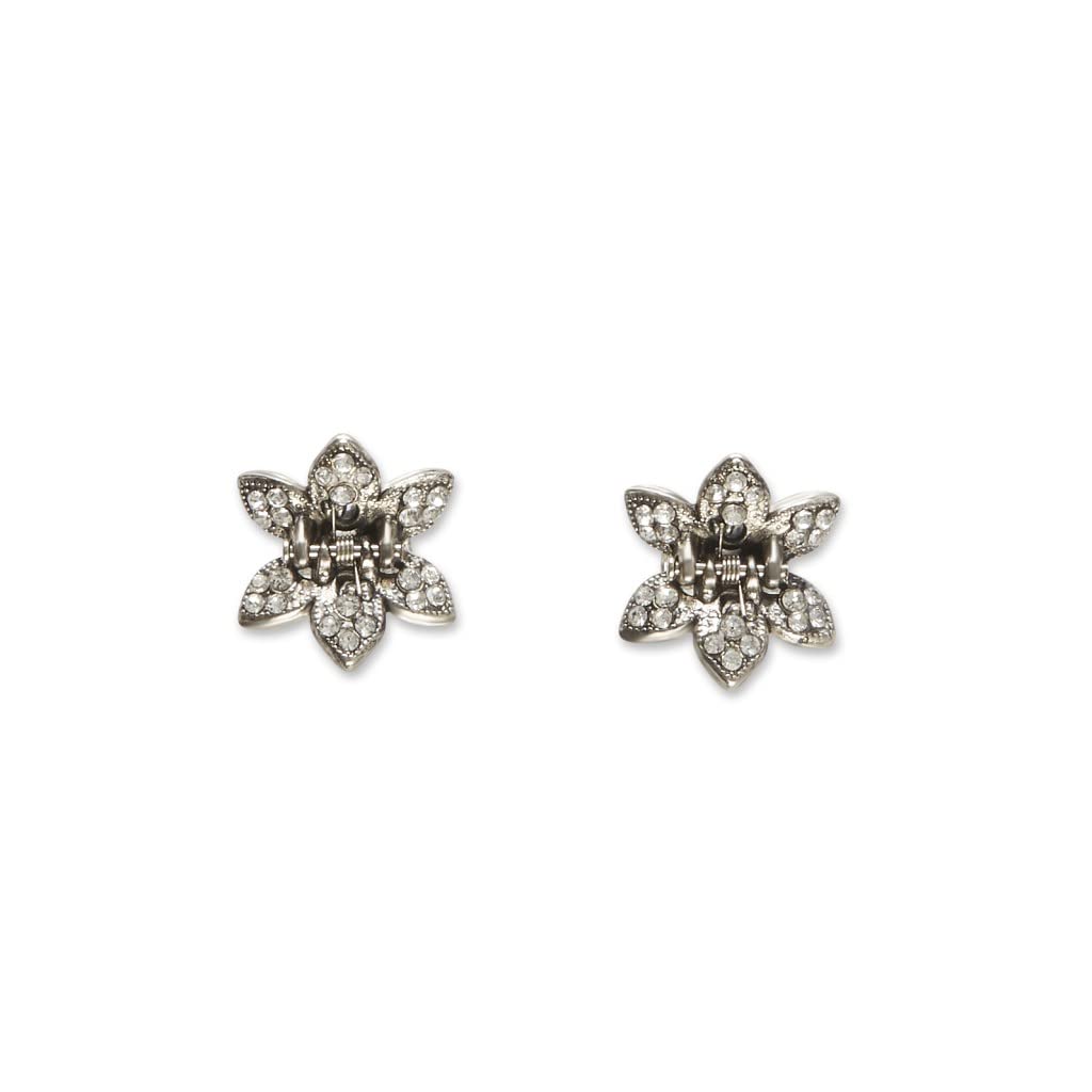 scünci Metal Flower Jaw Clips, 2 count-043194215300-LR-332515-2-LR eShop