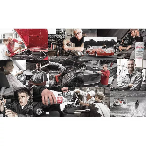 Sea-Foam Fuel & Emissions Additive Motor Treatment, 16 oz-018812000019-LR-353093-5-LR eShop