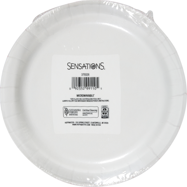 SENSATIONS Premium Paper Dinner Plates - Birthday Bliss, 20 count-092352991105-LR-361389-3-LR eShop