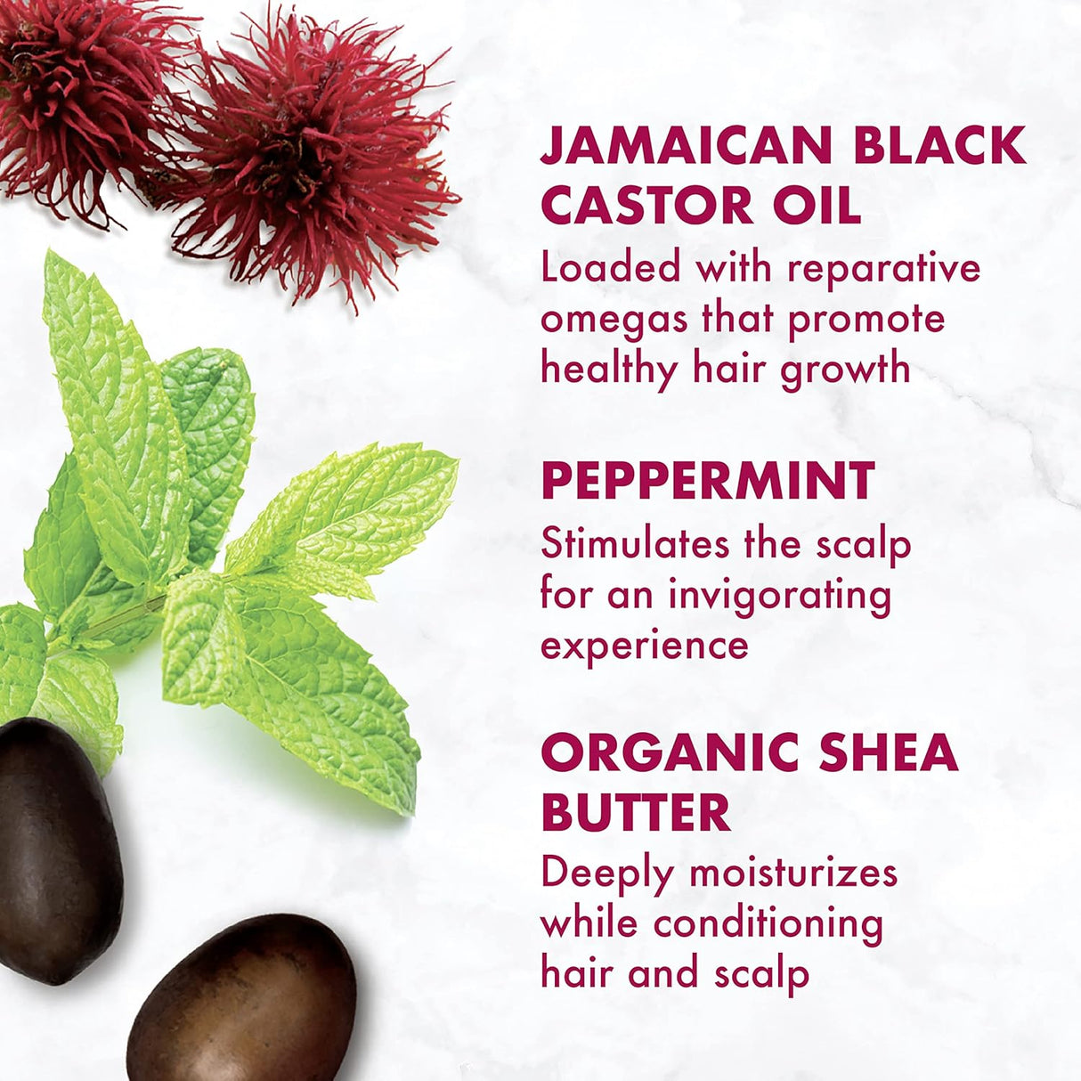 SheaMoisture Jamaican Black Castor Oil Strengthen & Restore Conditioner-764302215592-LR-355257-11-LR eShop
