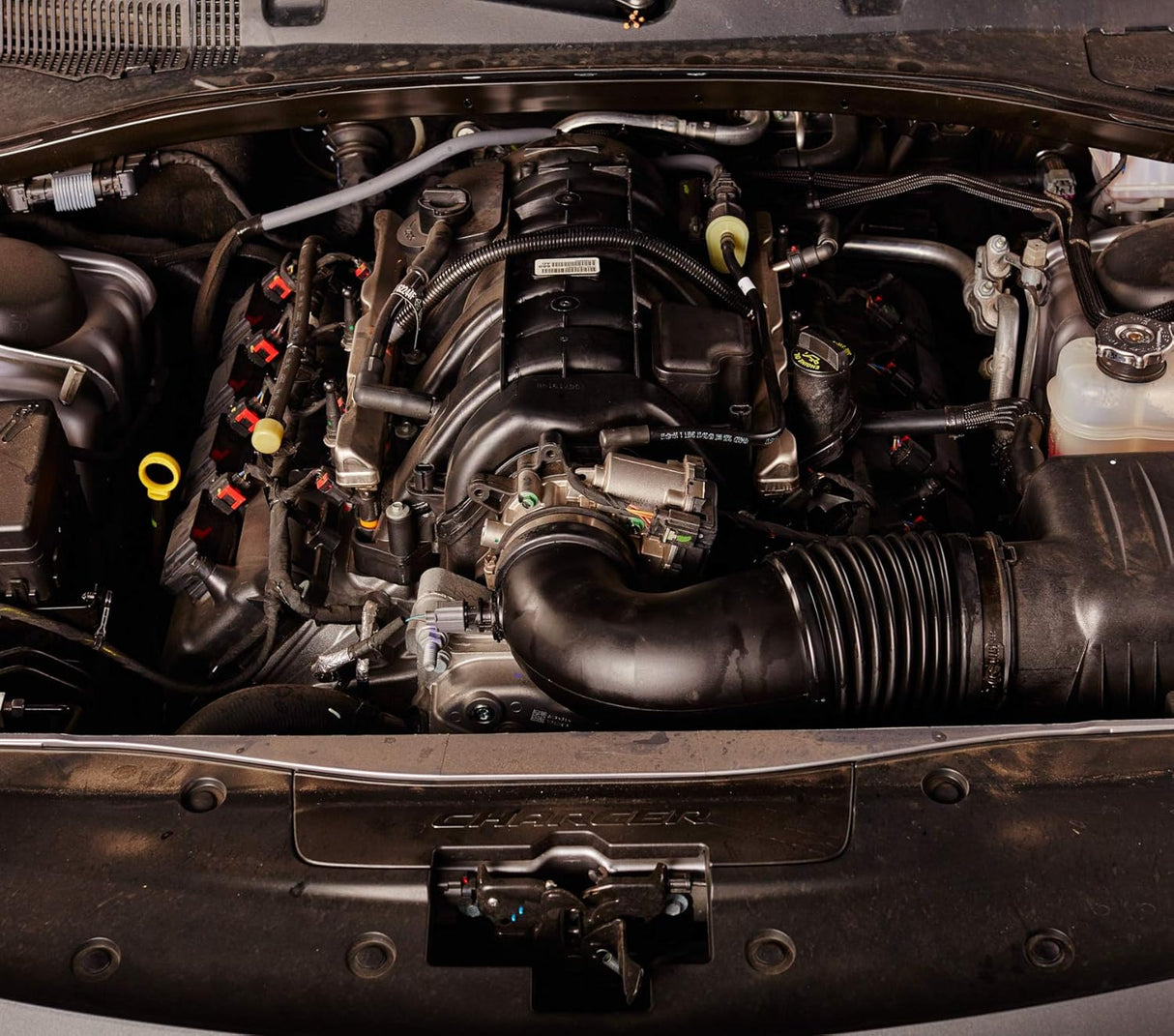 STP Gasoline Fuel Treatment, 5.25 Oz-071153785731-LR-230159-4-LR eShop