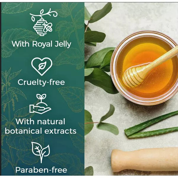 Tio Nacho Mexican Herbs Strengthening Shampoo-650240028168-LR-338700-4-LR eShop