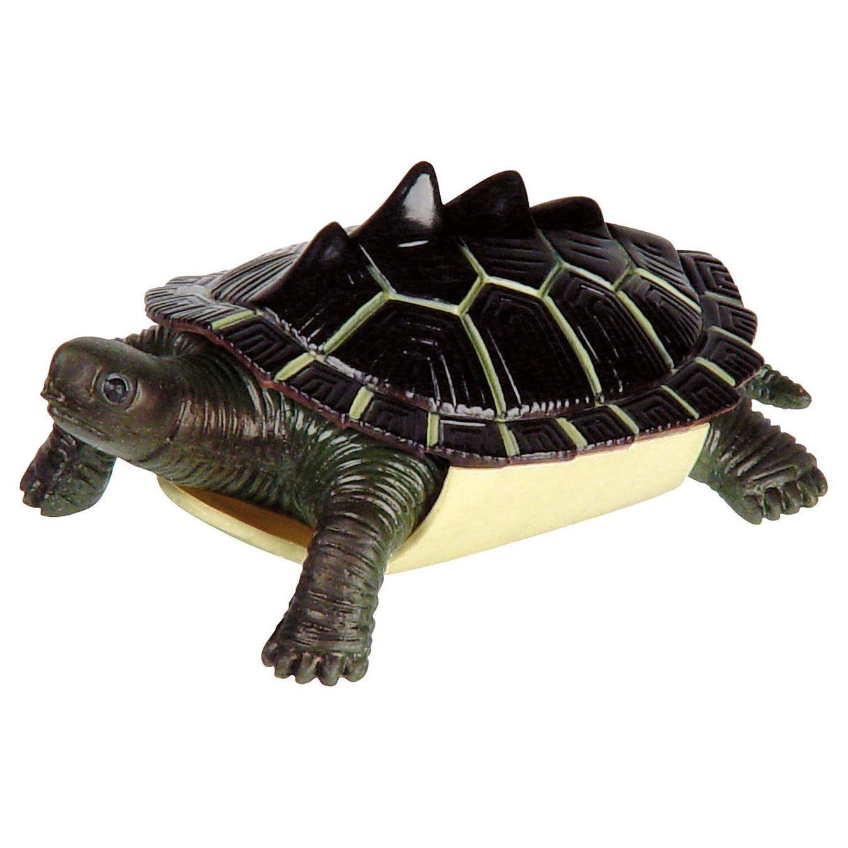 Toysmith Turtle Squishimals, Assorted-085761017535-LR-343694-3-LR eShop