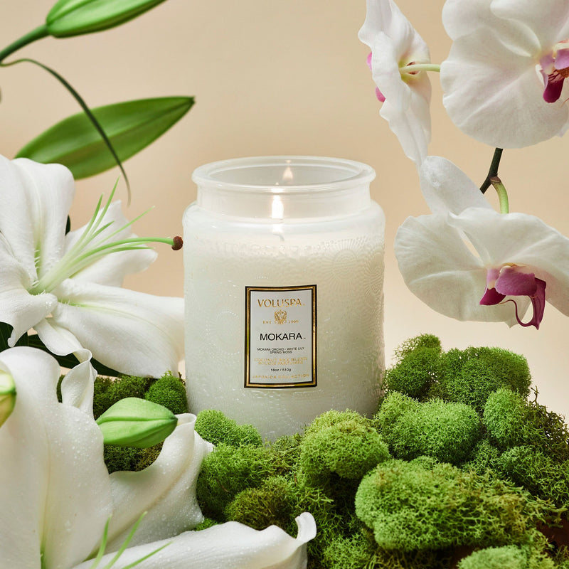 Voluspa Mokara 18oz Large Glass Jar Candle-806644072386-LR-353741-3-LR eShop