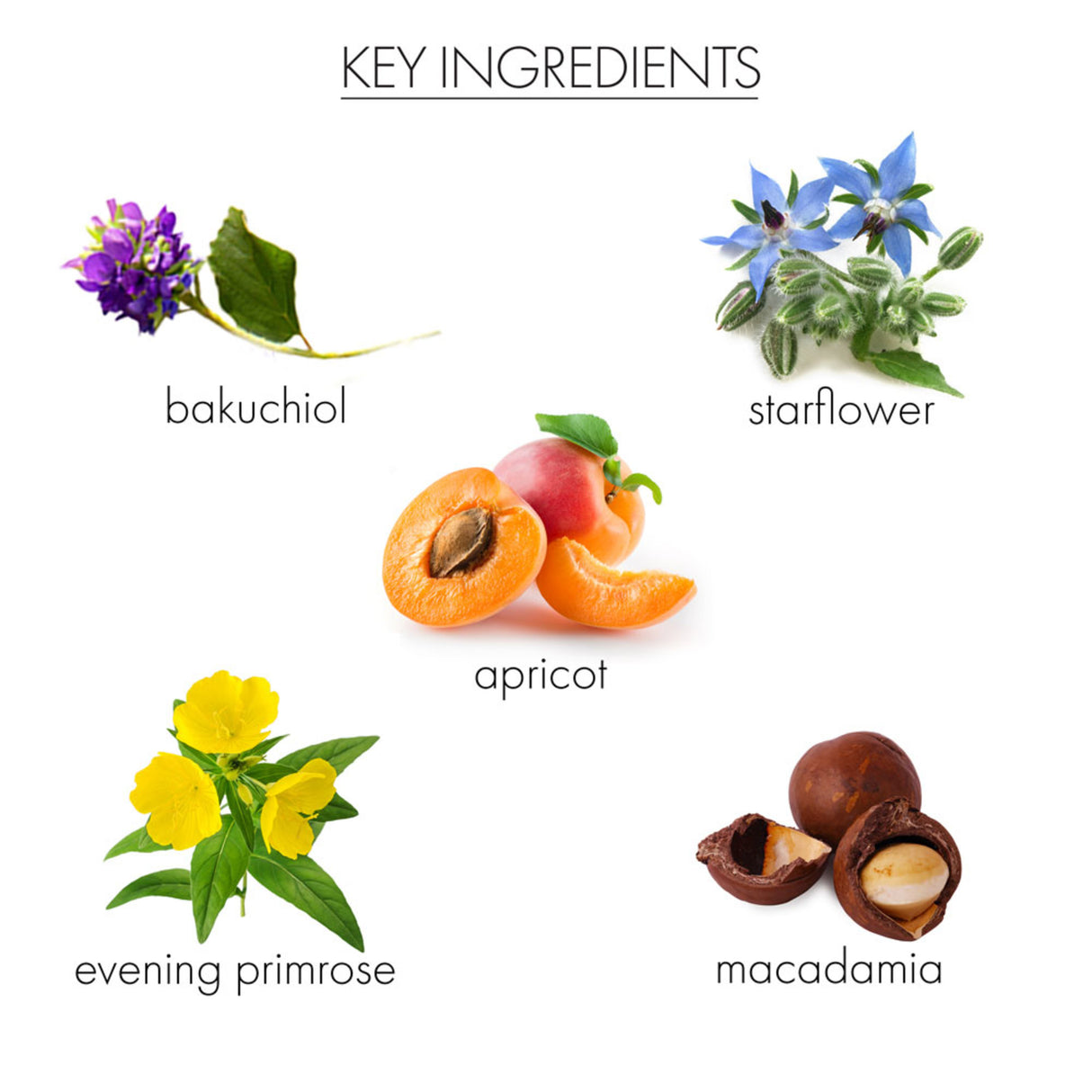 Whish Beauty Restoring Face Oil with Bakuchiol-812280013720-LR-351183-8-LR eShop