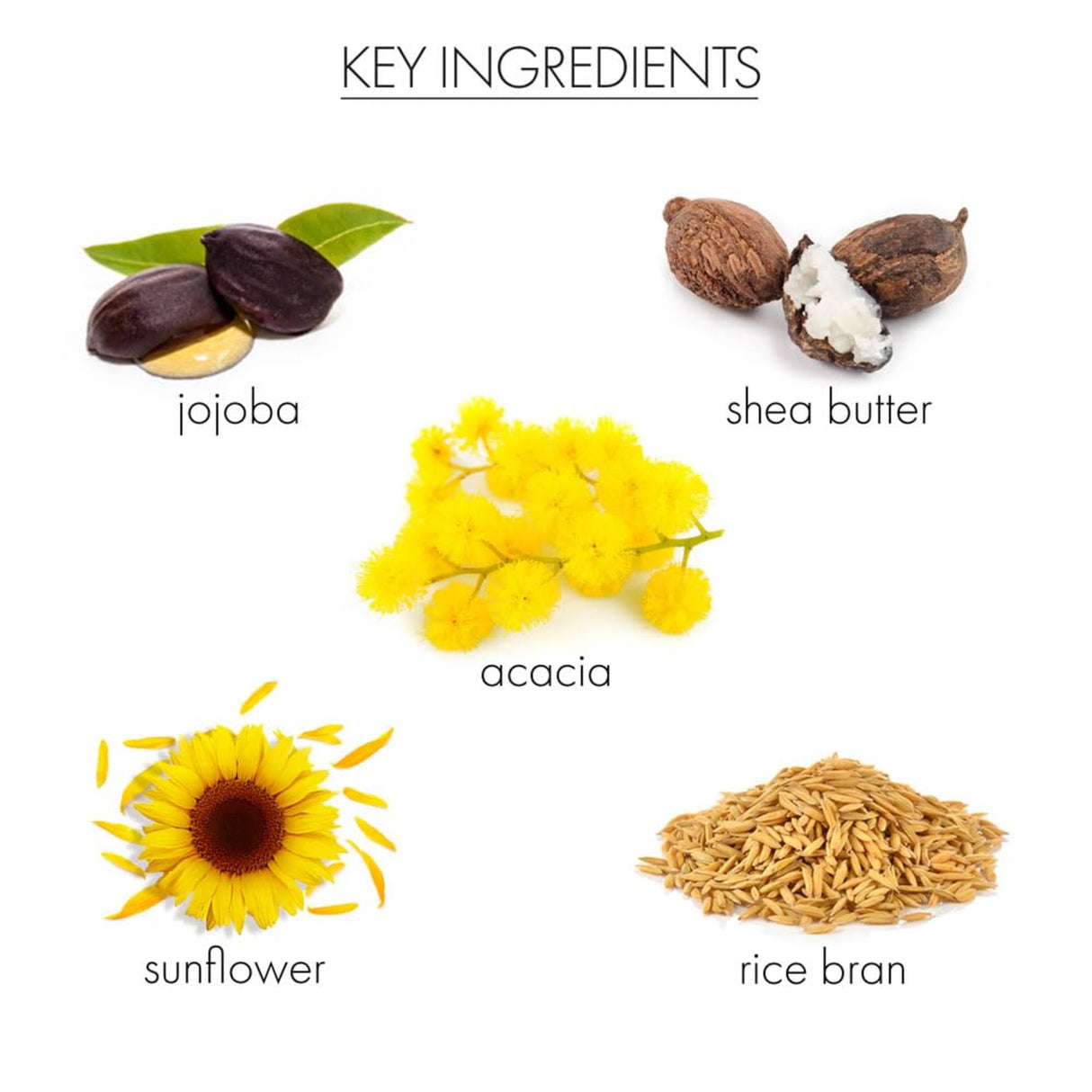 Whish Coconut Milk+Verbena Super Jojoba-812280016196-LR-351201-5-LR eShop