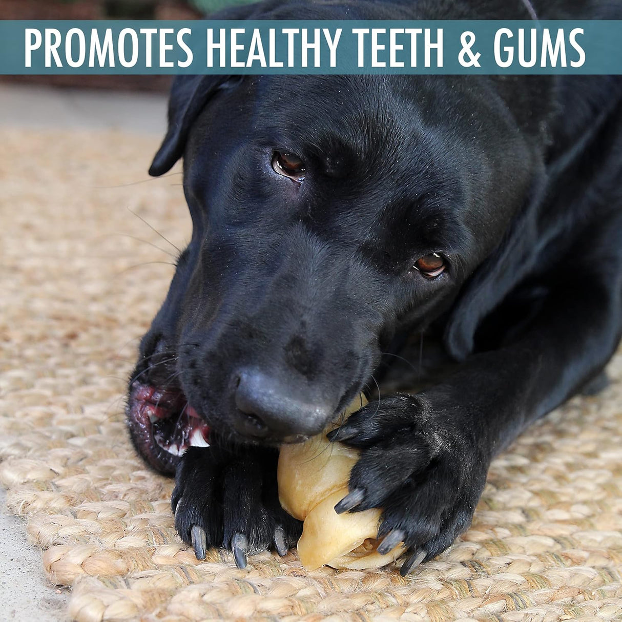 Wild Eats Water Buffalo Retriever Style Cheek Roll 3" Dog Chews - 5 Pack-611403708525-LR-353790-6-LR eShop